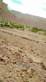 عسل سمرة حضرمي رقم واحد بالكيلو وبالنصف كيلو والربع كيلو 3