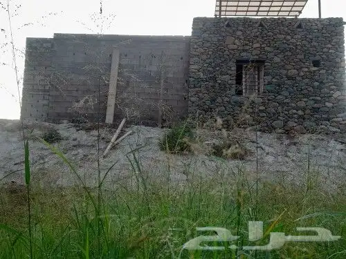 الخميس ابهاء احد رفيده تنومه النماص العلايه 0