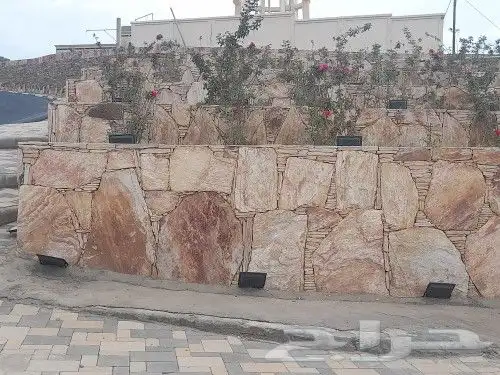 الخميس ابهاء احد رفيده تنومه النماص العلايه 2