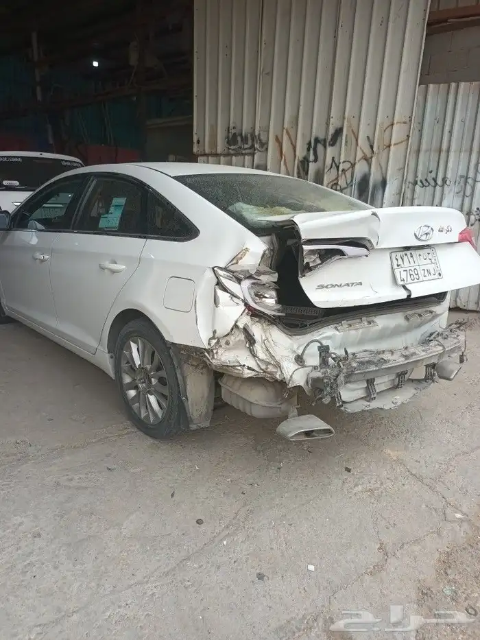 ورشه فاطمه المجرشي 0