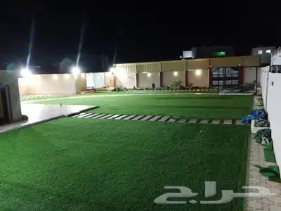 انجيله طبيعي عشب ثيل سي الفين جيزان مزروع طبيعي صبيا جيزان 25