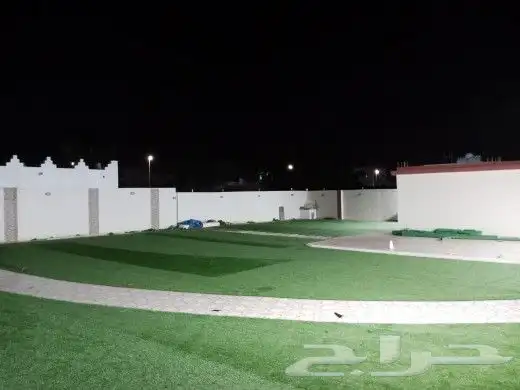 انجيله طبيعي عشب ثيل سي الفين جيزان مزروع طبيعي صبيا جيزان 26