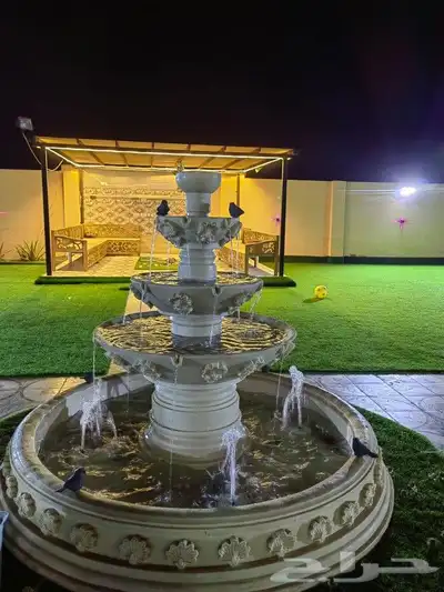 انجيله طبيعي عشب ثيل سي الفين جيزان مزروع طبيعي صبيا جيزان 22