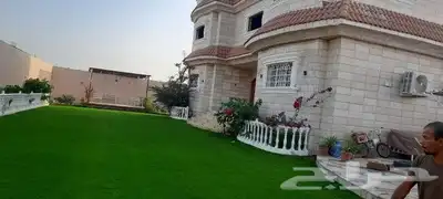 انجيله طبيعي عشب ثيل سي الفين جيزان مزروع طبيعي صبيا جيزان 29