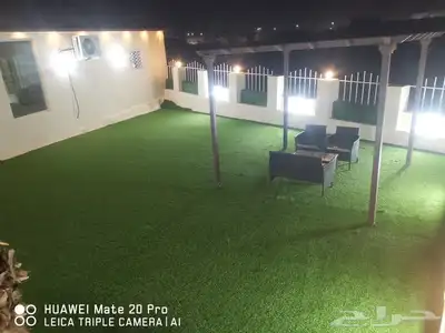 انجيله طبيعي عشب ثيل سي الفين جيزان مزروع طبيعي صبيا جيزان 20