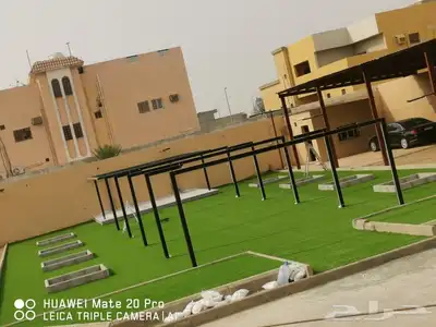 انجيله طبيعي عشب ثيل سي الفين جيزان مزروع طبيعي صبيا جيزان 19