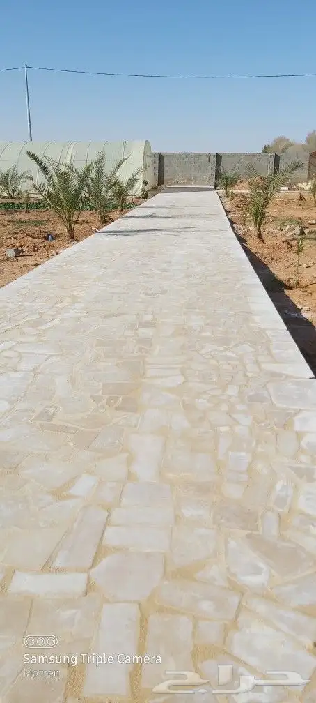 جلسات وممرات الحجر العشوائي 7