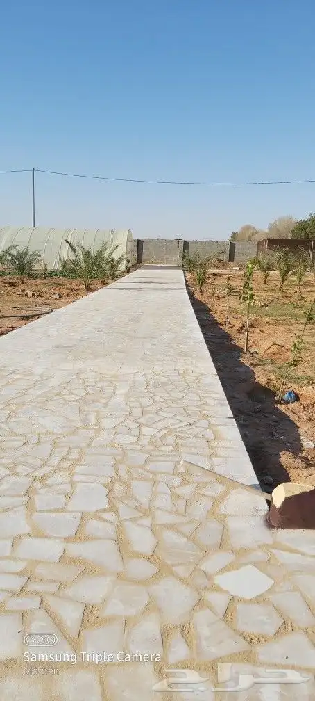 جلسات وممرات الحجر العشوائي 9