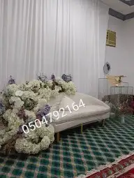 كوشات  الجوف  سكاكا الجوف    الجوف_الان  الجوف  الج 9