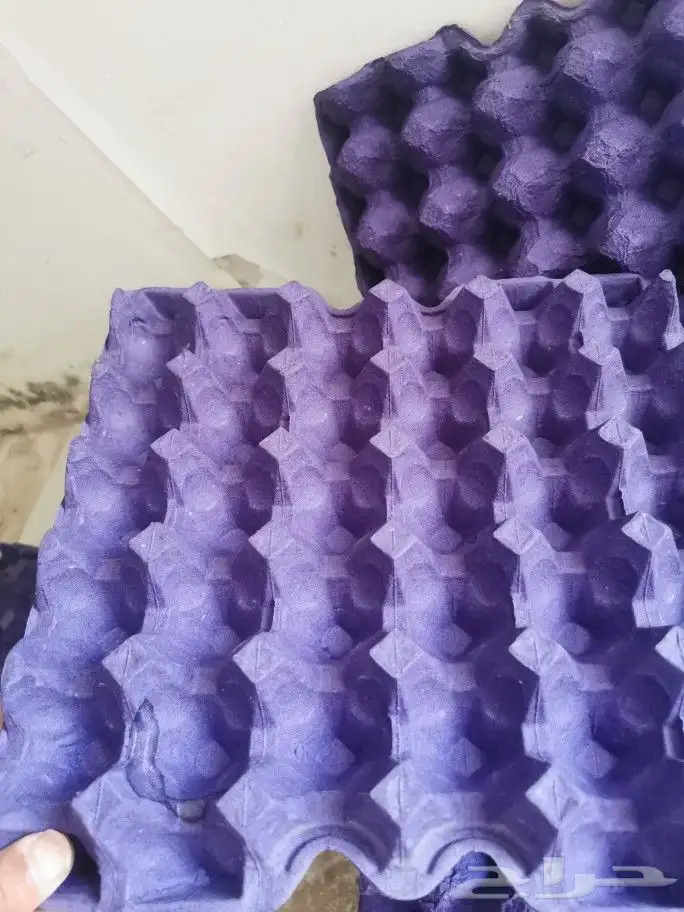 اطباق بيض جديد ال100 حبه 30 ريال. 3