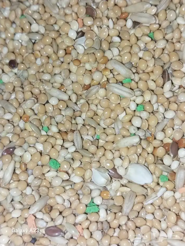 جميع أعلاف الطيور والببغاوات 7