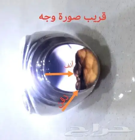 خاتم عقيق يماني مصور 6