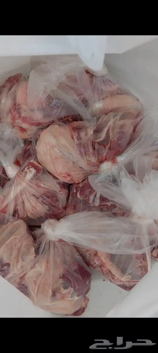 طبخ إلى باب بيتك وتجهيز مناسبات وذبايح ثلاجة 15