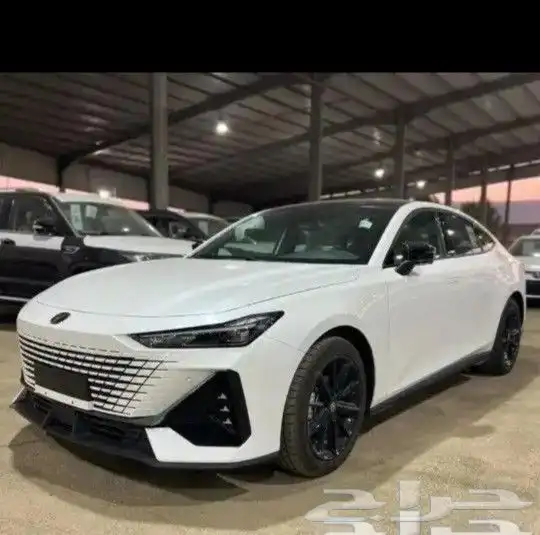 شانجان يوني في موديل 25 كاش وبنوك 4