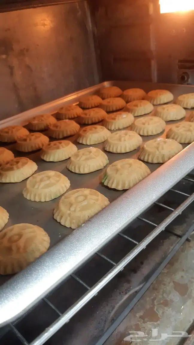 معمول وغريبه 7