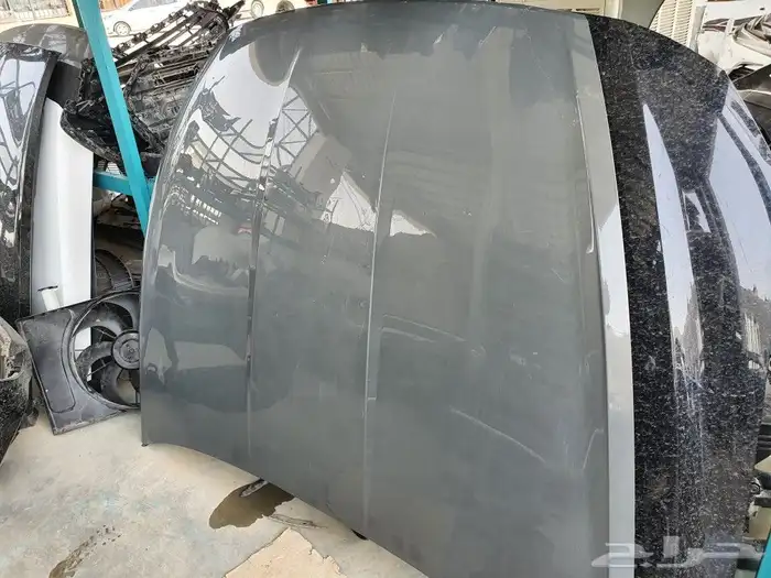 كبوت سوناتا 2020 0