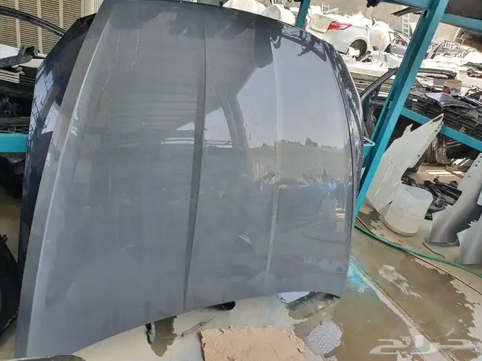 كبوت سوناتا 2020 1