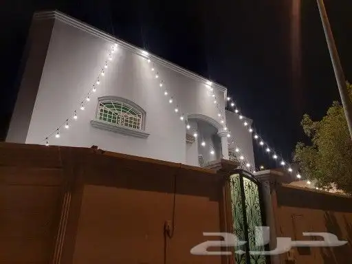 تأجير عقود لمبات 5