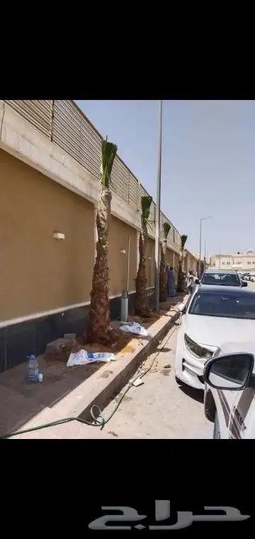 مقولت شبوك 3