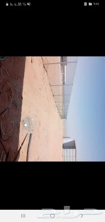 مقولت شبوك 6