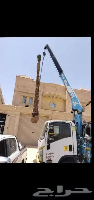 مقولت شبوك 2