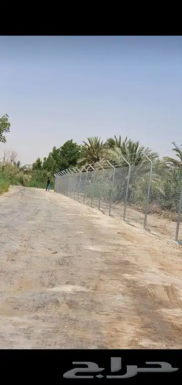 مقولت شبوك 5