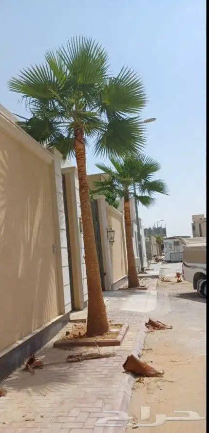 تكريب نخل وشجر 0