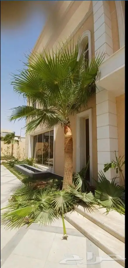 تكريب نخل وشجر 5