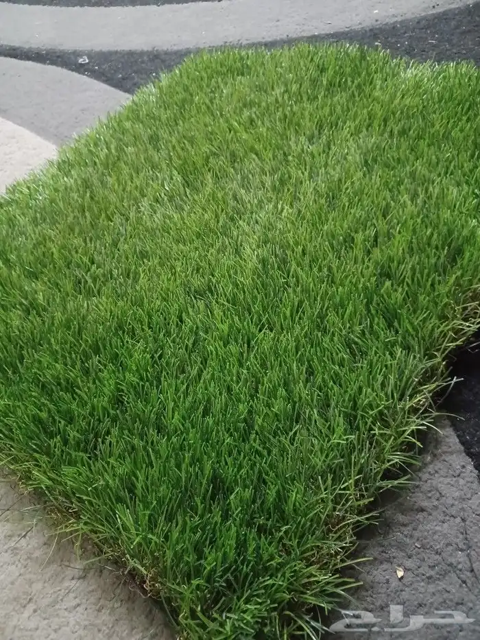 ثيل صناعي وعشب جداري 19