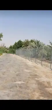 مقاول شبوك 0