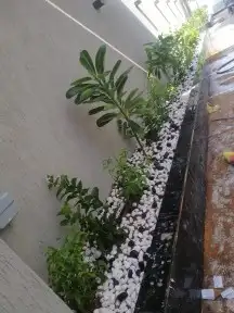 مزارع وشنطونيا وعربي وتنسيق حدائق 3