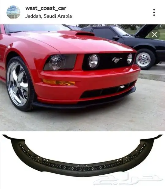 للحية موستنج شلبي 1
