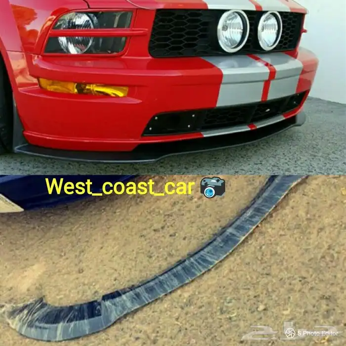 للحية موستنج شلبي 0