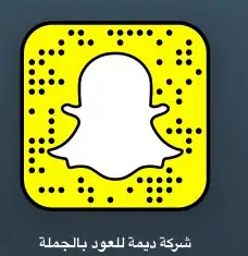 عود مروكي ذهبي جملة الجملة 7