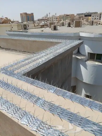 شركة تركيب طارد الحمام بالدمام والخبر والقطيف والظهران 14
