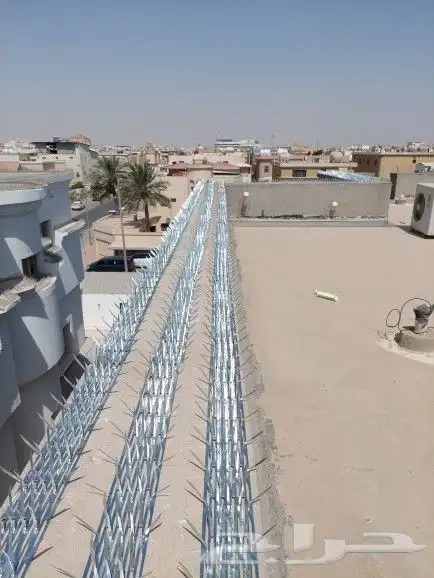 شركة تركيب طارد الحمام بالدمام والخبر والقطيف والظهران 15