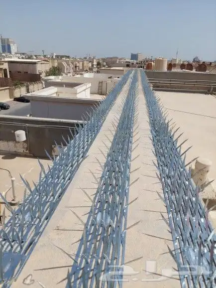 شركة تركيب طارد الحمام بالدمام والخبر والقطيف والظهران 13