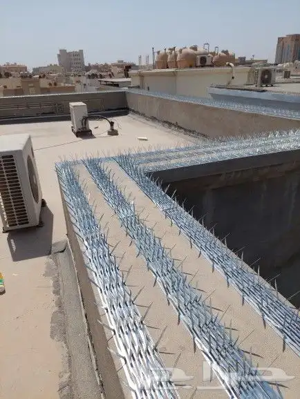 شركة تركيب طارد الحمام بالدمام والخبر والقطيف والظهران 12