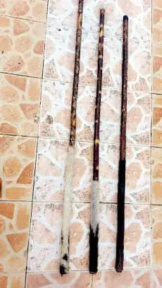 عصي مزمار لوز مصري مجلبه ومسقيه وجاهزه 16