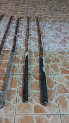 عصي مزمار لوز مصري مجلبه ومسقيه وجاهزه 13