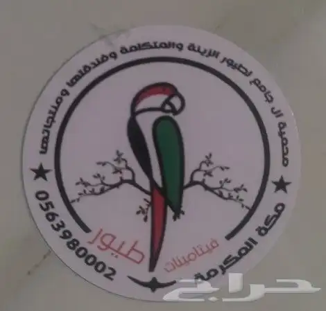 فيتامينات وتخصيب ومكملات لتساقط الريش 0