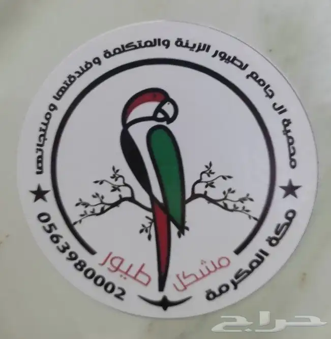 أكل وحبوب ومشكل ببغاوات 0