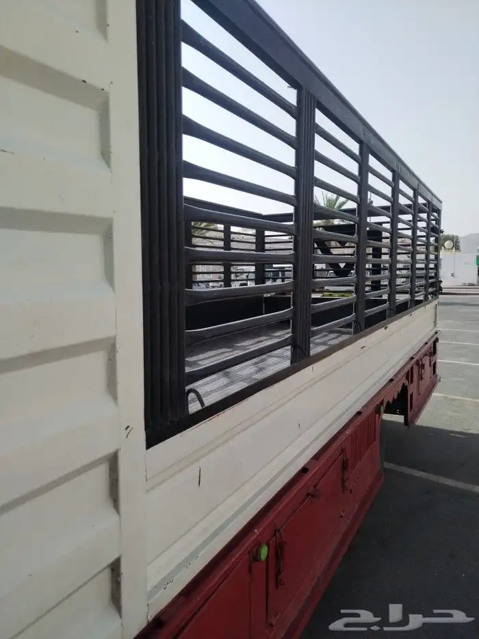 دينا دينه سته متر نجران الجامعه 0