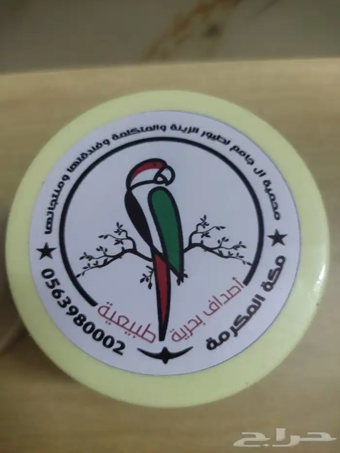 أصداف بحرية للطيور 1