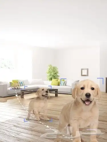 كمرات مراقبه 6