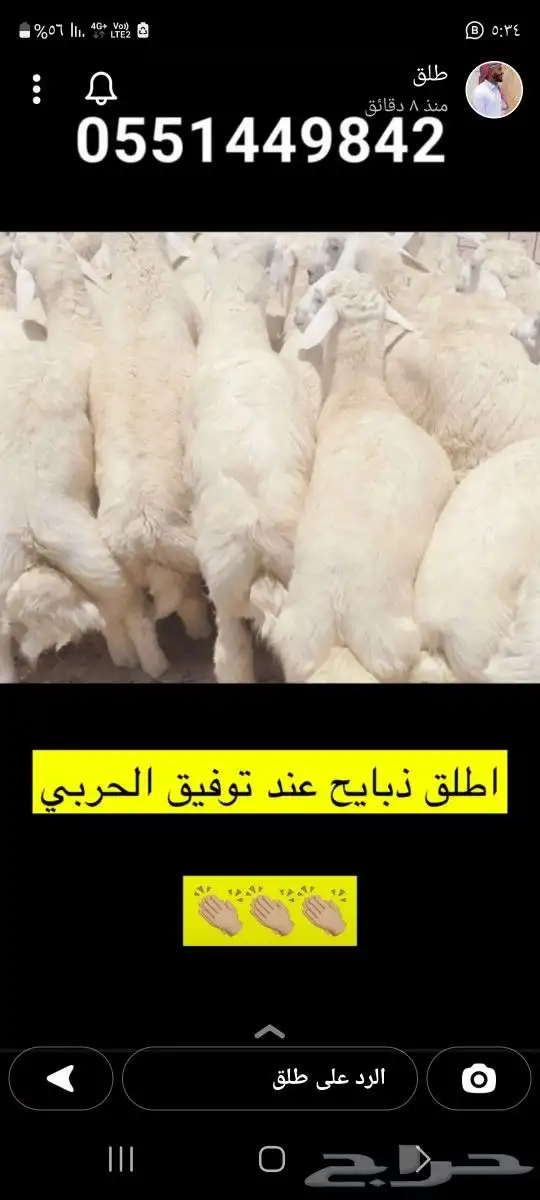 ذبايح طليان فاخره وسواكني 2