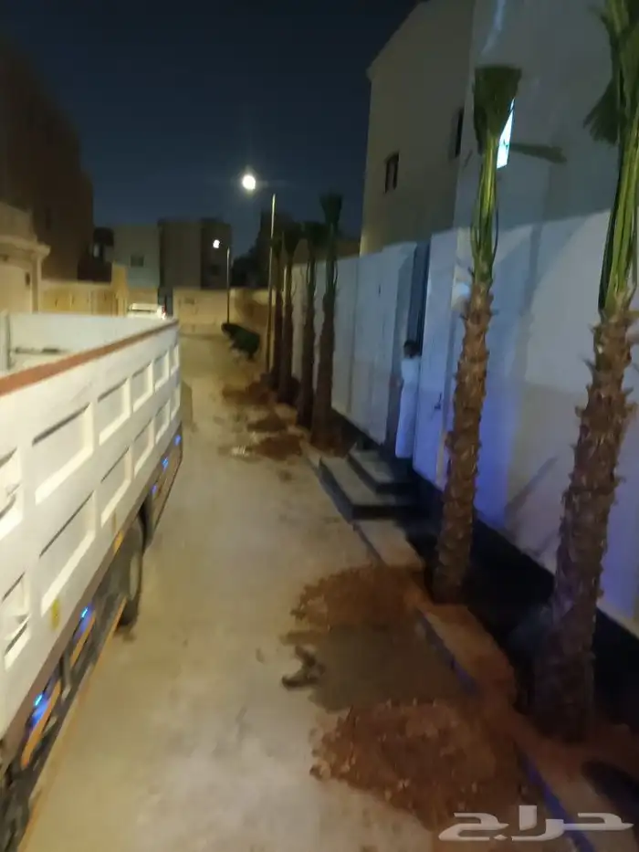 تركيب النخل الزينه الواشنطني 1