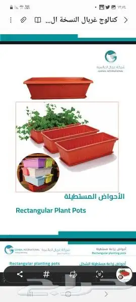 احواض زراعية البيع جملة فقط 1
