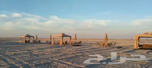 كرفان امريكي V.I.P للايجار 2022 14