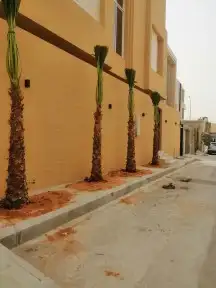 تنسيق حدائق وزراعه النخل والاشجار 8